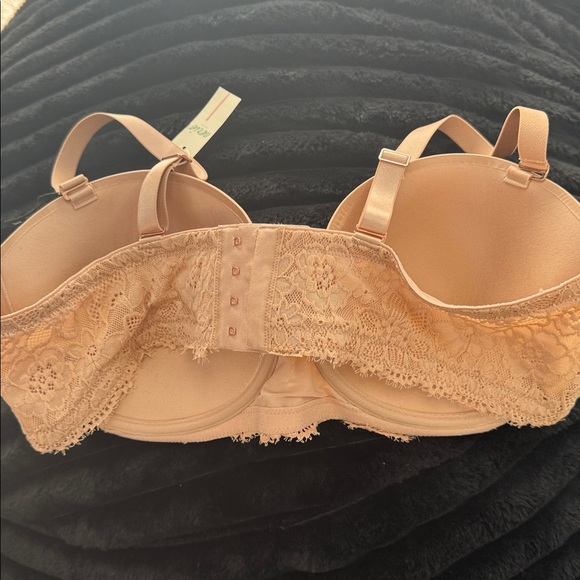 Elegant Lace Trimmed Bra - Picture 3 of 5